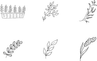 手绘植物线条图案元素