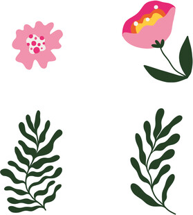 花卉与叶片 