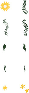 简约植物与太阳装饰元素