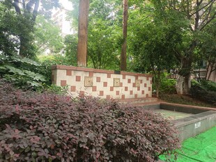 庭院绿植景观一角