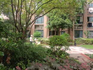 小区绿植环绕的居住环境