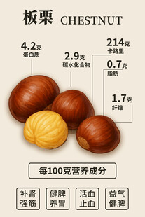 板栗营养成分展示图