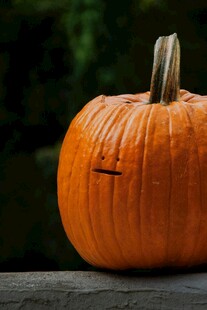 木桌上的橙色南瓜