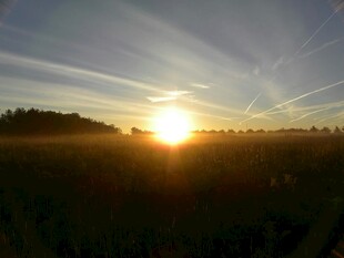 日出时分的田野美景