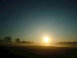 日出时分的朦胧田野景色