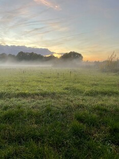 晨雾中的绿野风光