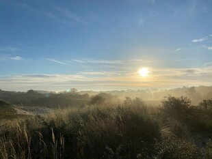 日出时分的草地美景