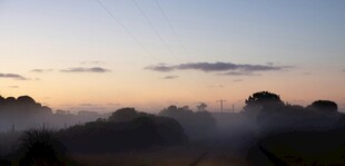 晨雾中的山林美景