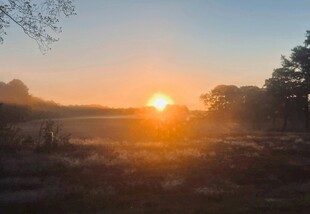 日出时分的旷野美景