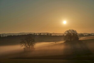 日出时分田野间的晨雾美景