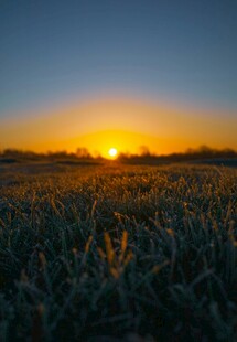 田野上的绝美落日景观