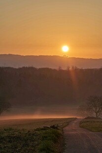 日出时分的乡间小路美景
