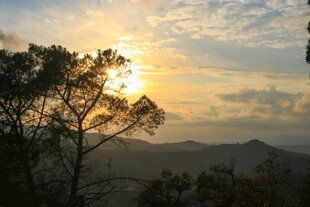夕阳下的山林美景