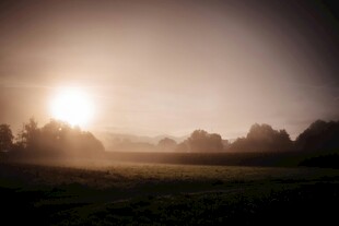 晨雾中的日出美景