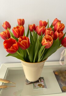 花瓶中盛放的鲜艳郁金香