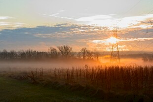 日出时分的田野晨雾美景