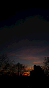 夜幕下的城市与树木剪影