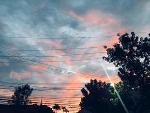 夕阳下的天空与树木景观