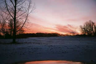 冬日雪野的绝美黄昏景色