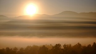 日出山林间美景