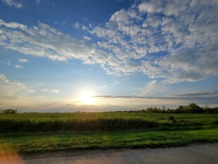 日出时分的田野美丽风光