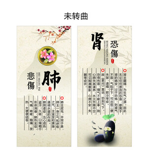 中医脏腑养生知识海报