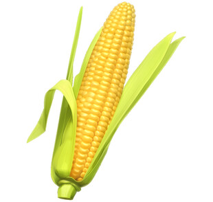 新鲜玉米棒