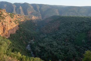 峡谷 山林 