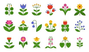 花朵图案