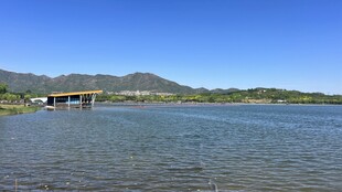 湖畔风光 远处桥梁与青山