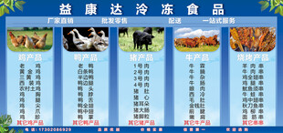 健康冷冻食品种类展示
