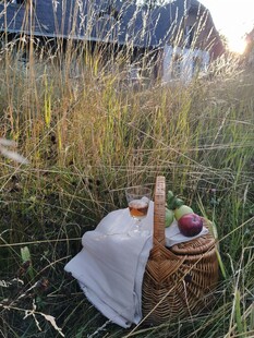 户外草地野餐场景布置