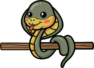 可爱小蛇盘于木棍上