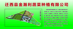 江西金益润果种植有限公司