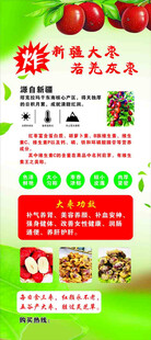 新疆 大枣