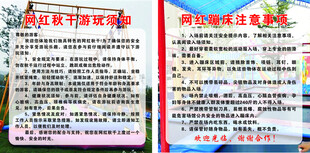 网红秋千 蹦床 