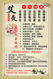 中医养生 艾灸