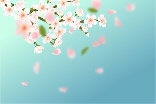  花朵蓝色背景