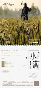 芒种海报设计