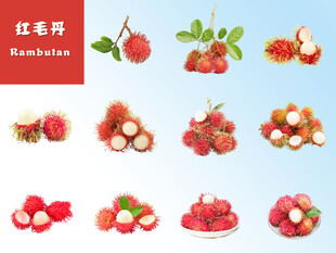 红毛丹