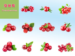 蔓越莓 