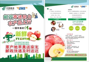苹果营养知识宣传页