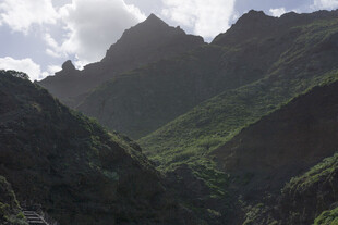青山
