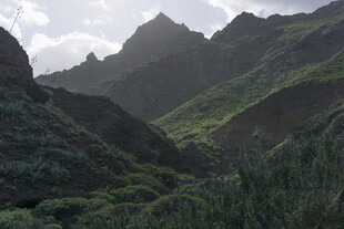 青山