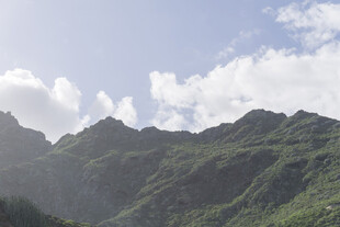 青山