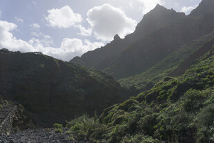 青山