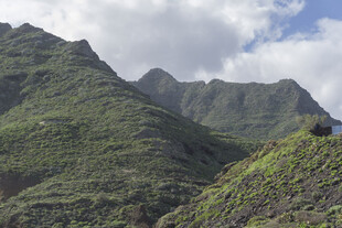 植被 山峰 