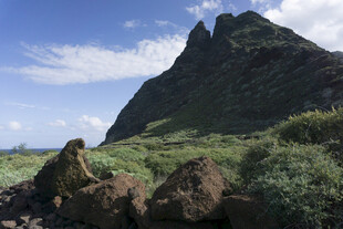 青山