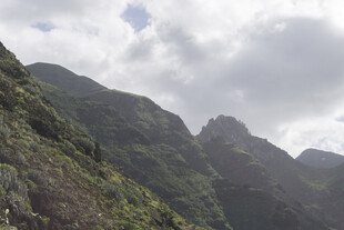 山峦 云雾