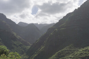 青山